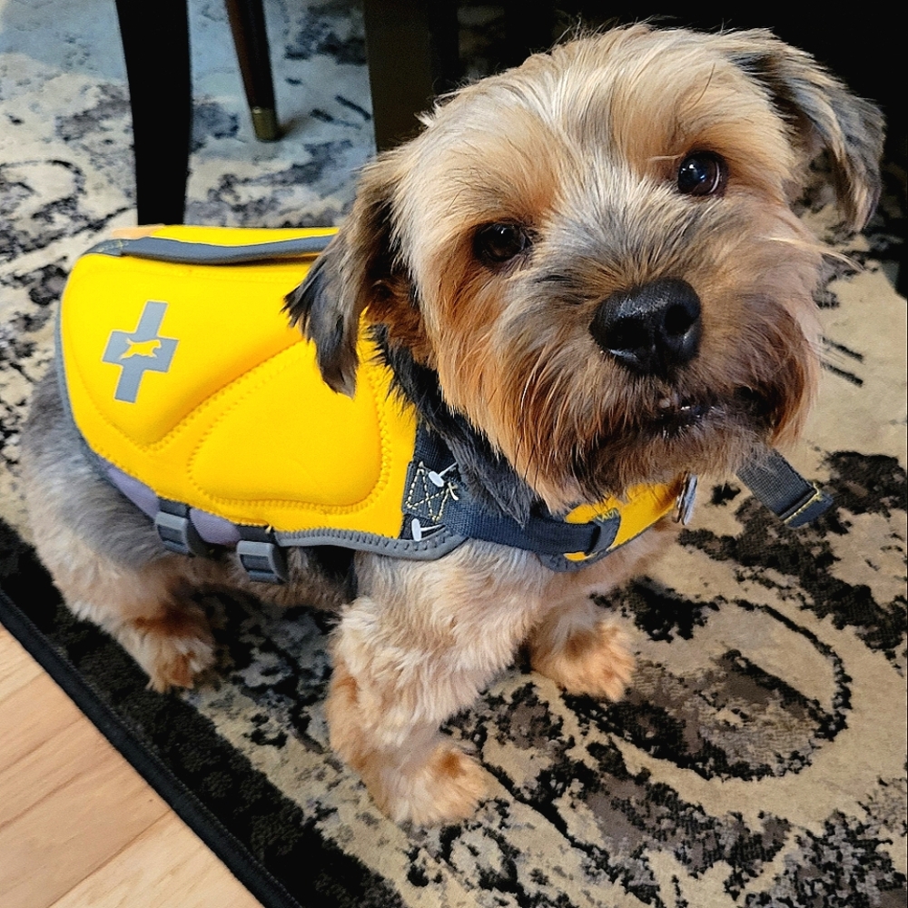 Top Paw Neoprene Dog Life Jacket S